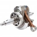 Kurbelwelle mit Pleul und Lager YFM700R 06-14